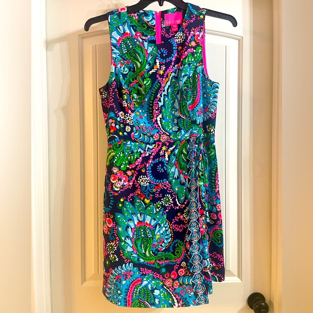 EUC Lilly dress 6